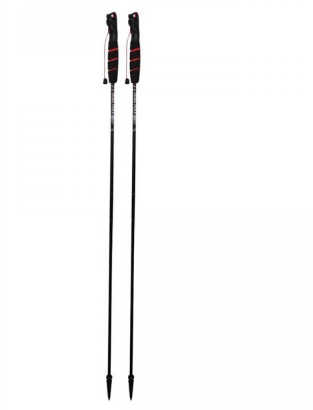 Raidlight Foldable Trail Poles Review (Raidlight Foldable Trail Poles - Trekking Poles)