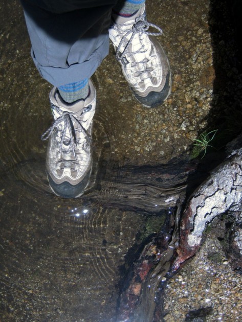 oboz yellowstone for women - oboz yellowstone with its oboz bdry lining did surprisingly well in...