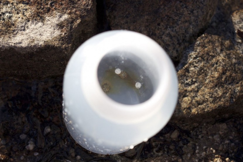 potable aqua purification tablets - potable aqua iodine and taste neutralizer tablets dissolving into...