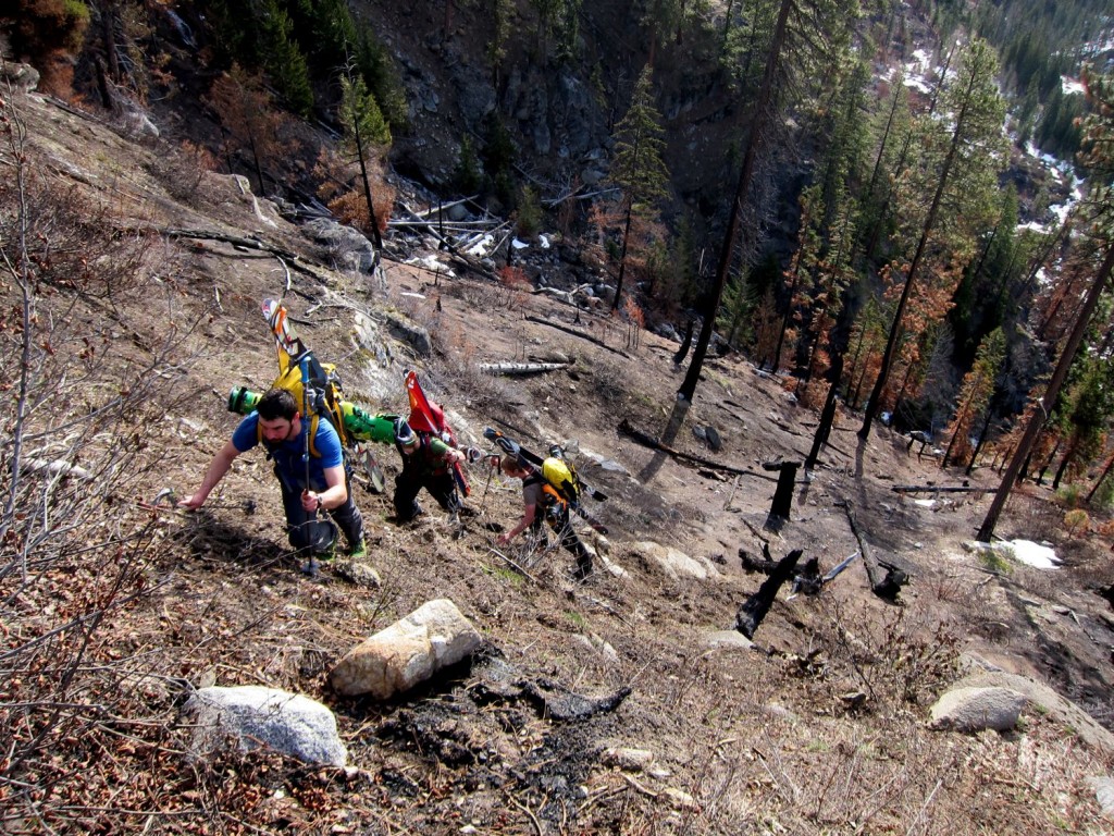 Ten Reasons for Trekking Poles