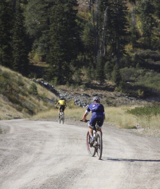 specialized phenom expert - the specialized phenom provides a great platform for hard efforts...