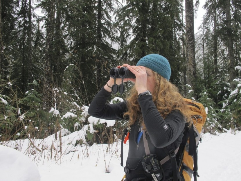 nikon monarch 3 8x42 atb - arielle furtado zooms in on a gray jay perched on a nearby tree...