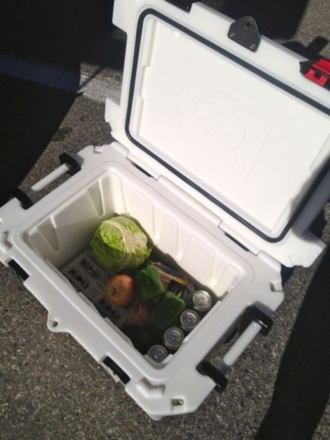 pelican 45 elite - a loaded up pelican 45q.  the interior is bright, cleans easily, and...