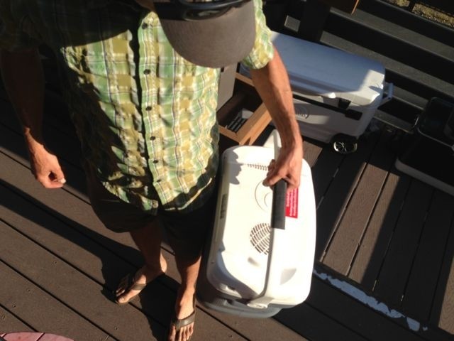 igloo iceless 28 - one handed carry is easy. igloo contoured the shape so that the...