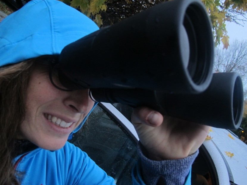 olympus trooper 10x50 dps - the olympus trooper 10x50 is a high magnification binocular with a...