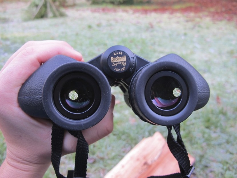 bushnell legacy 8x42 - the legacy is on the larger side, but can still be held with one hand.