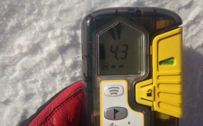 pieps dsp pro - the dsp pro with one of the three victims in a "box," showing that...