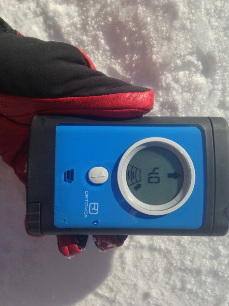 ortovox 3+ - the 3+ avalanche beacon, during a multiple beacon search. the number...