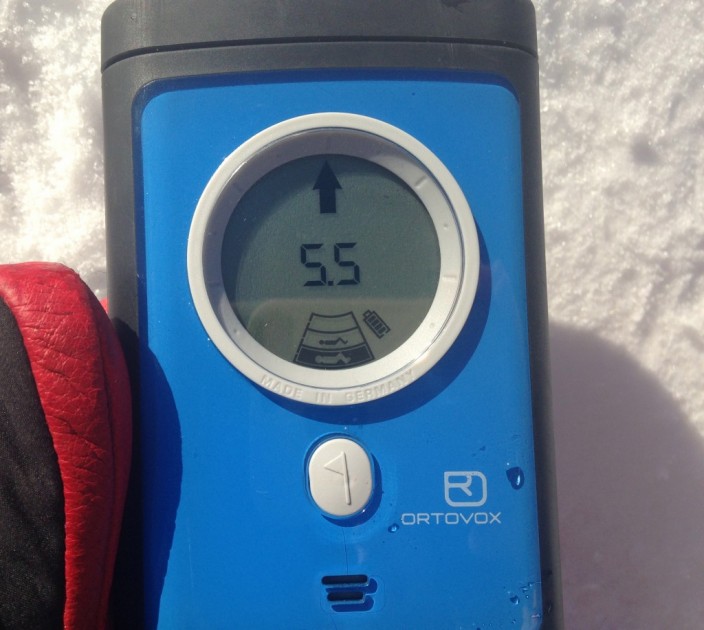 ortovox 3+ - the 3+ showing that one of the victims/signals has been flagged...