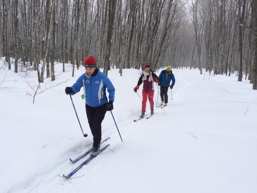 patagonia traverse - lightweight softshells are the best type of jacket for cross-country...