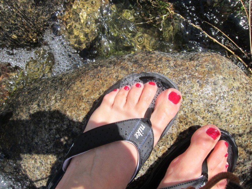 nike comfort thong - the comfort thong absorbed so much water! here you can see it...