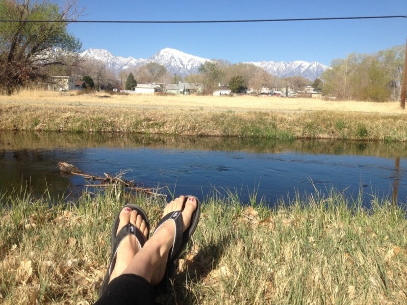 nike comfort thong - not ideal for long walks, the comfort thong does work well for...