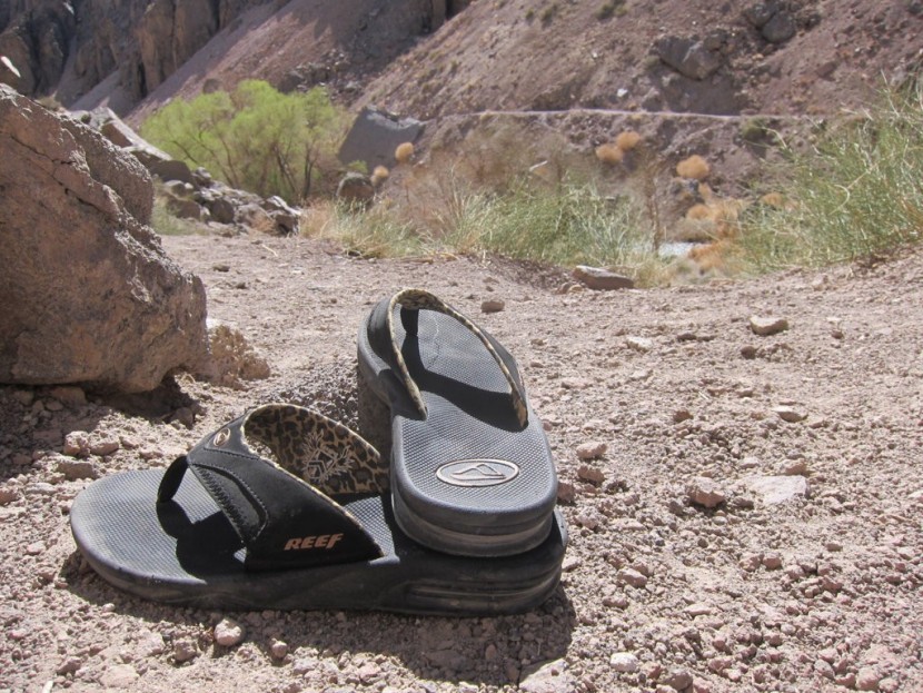 reef women's fanning - we like the subtle leopard print lining on the women's fanning. this...