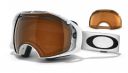 Ski Goggles