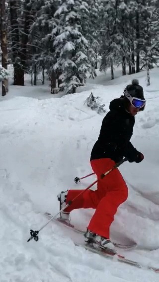 arc'teryx sentinel full bib - designed to protect skiers in variable conditions while being...