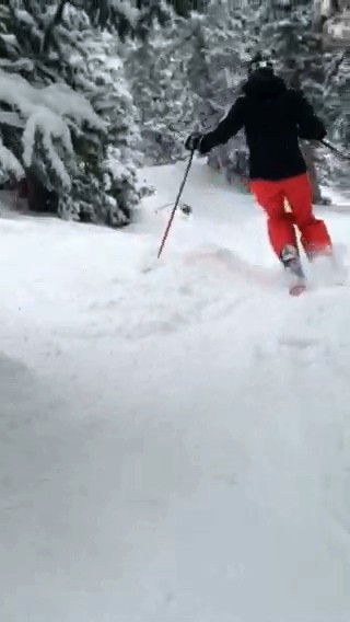 arc'teryx sentinel full bib - adept at skiing trees, kerry hits fresh powder after a long hike...