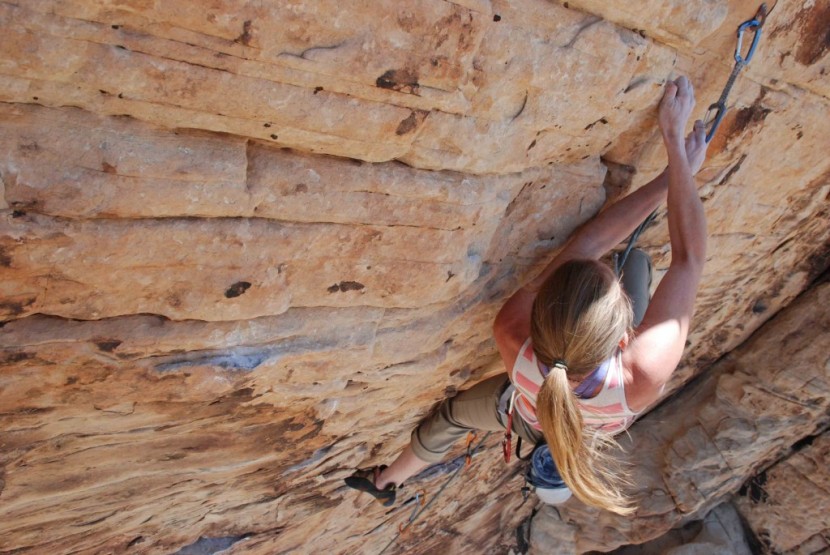 black diamond posiwire quickdraw - the bottom wiregate carabiner makes for smooth clipping even in...