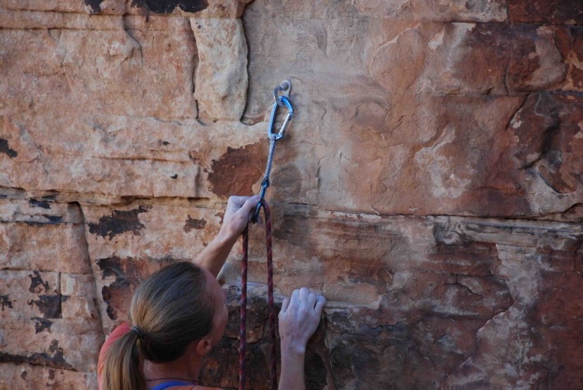 black diamond posiwire quickdraw - the posiwire in its ideal element: vertical sport climbing.