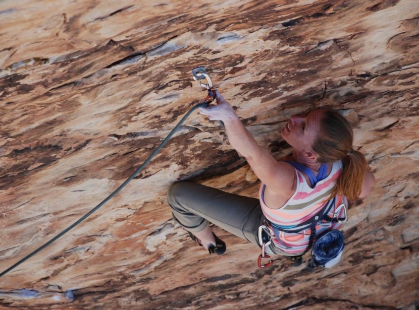 wild country helium quickdraw - cam mckenzie ring clipping the wild country helium. these draws will...