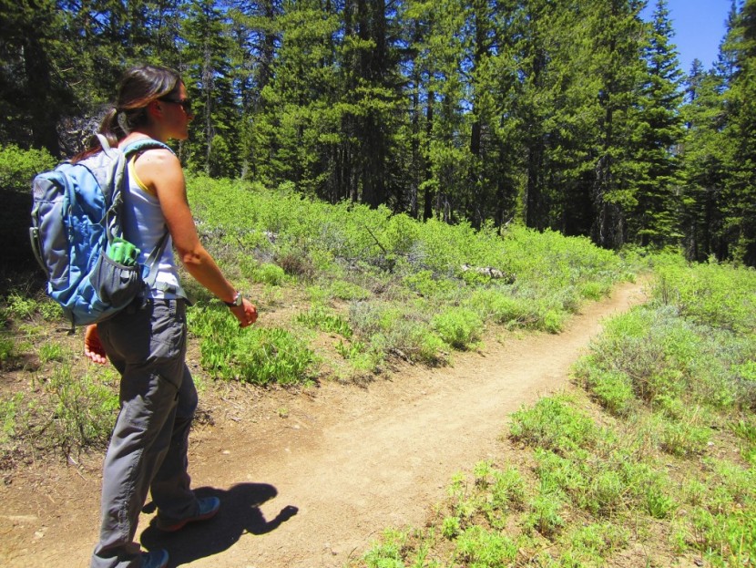 exofficio nomad roll-up pant for women - the range of motion and mobility in the ex officio nomad roll up...