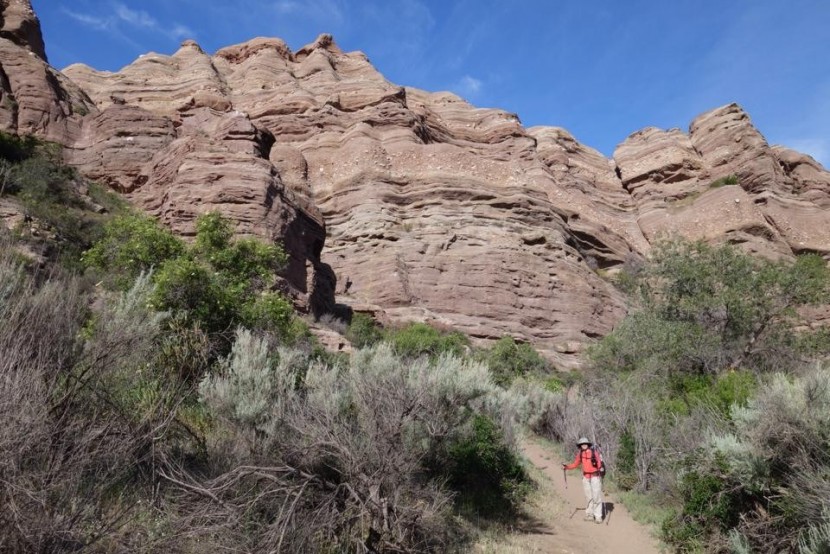 columbia pfg aruba convertible pant for women - hiking through the mojave desert in the lightweight columbia aruba...