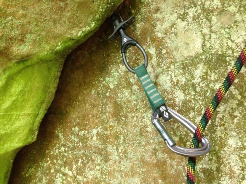 petzl djinn straight gate - petzl's new djinn carabiner is full-sized and heavy. it is best used...