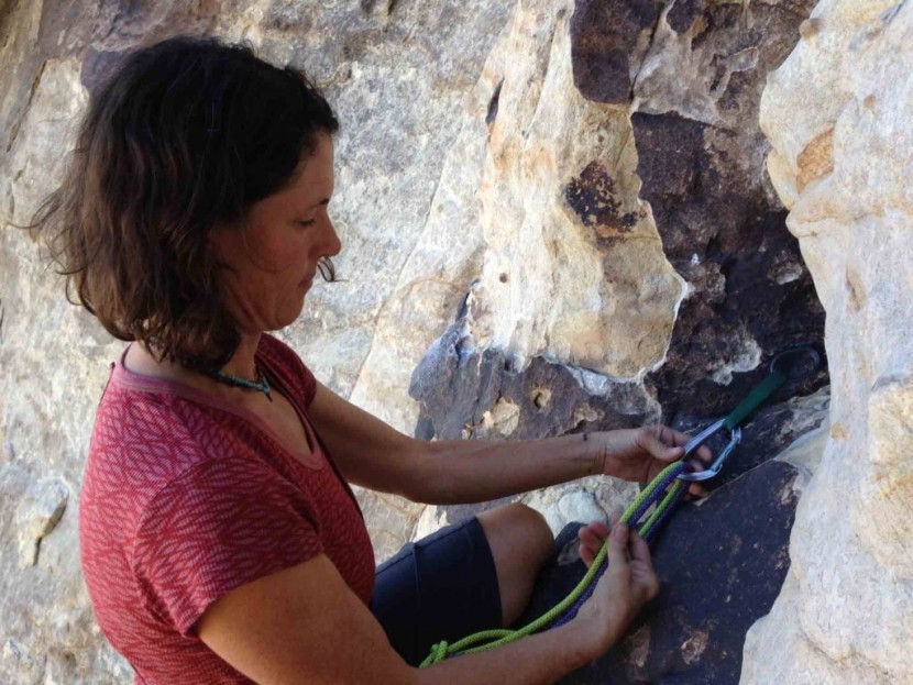 petzl djinn straight gate - this carabiner can easily accommodate two ropes, either twin ropes...