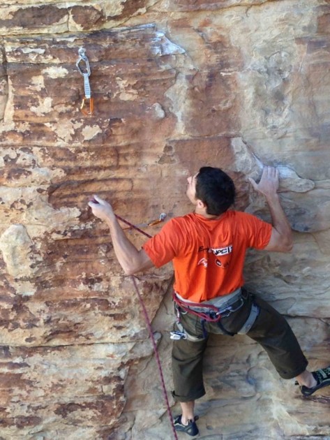 petzl spirit straight gate - scott ring going to clip the petzl spirit express quickdraw. it has...