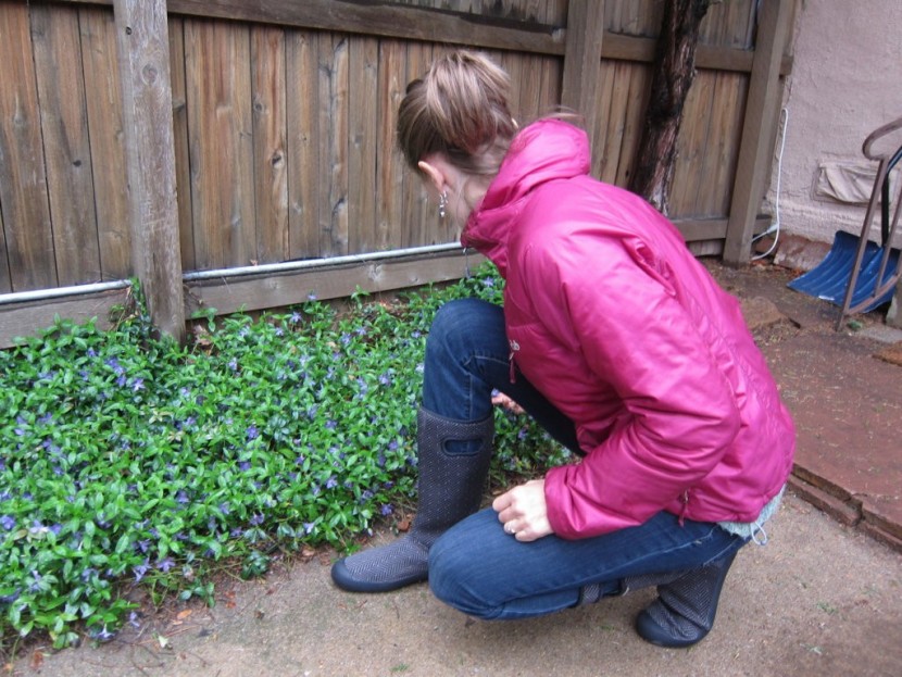 bogs women's summit - our testers really loved these boots until one started leaking after...