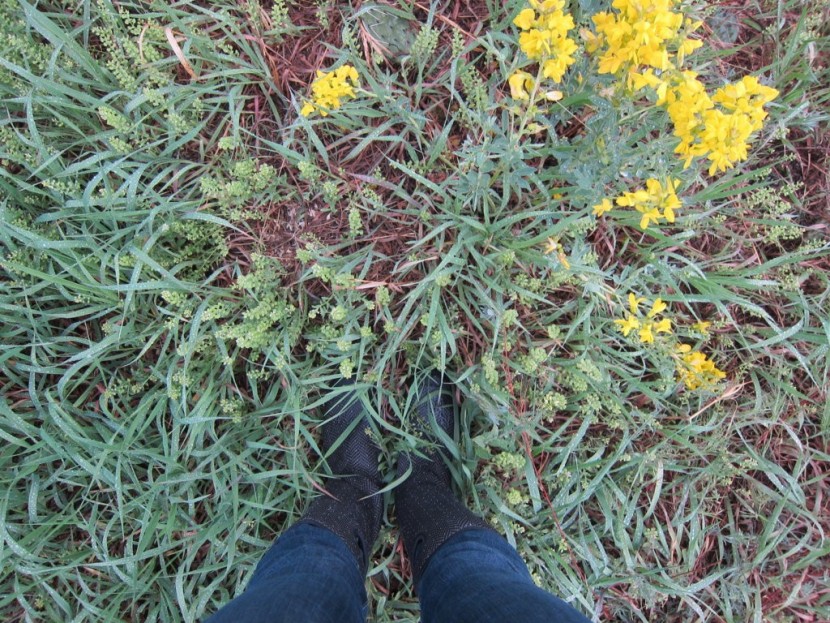 bogs women's summit - a little bit warmer than the tretorn kelly, but not nearly as toasty...