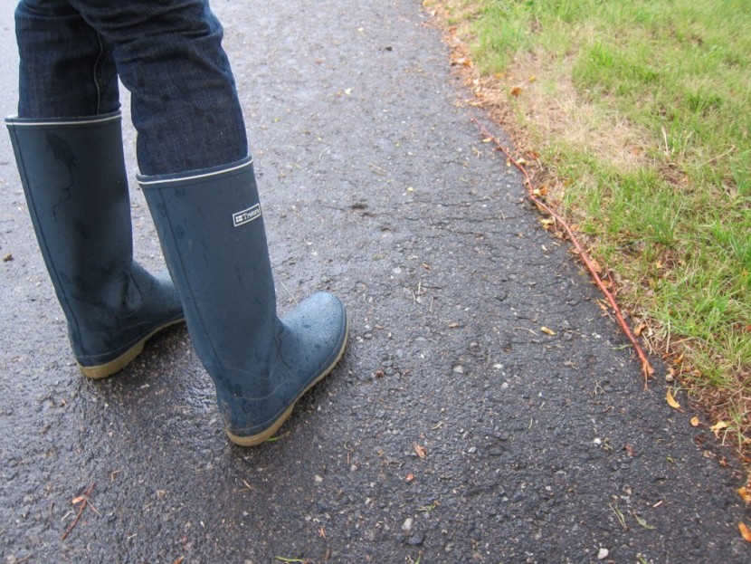 tretorn kelly - here, you can see the slight creasing in the rubber shaft. the...