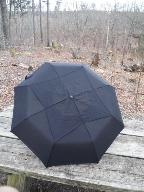 windpro compact auto - the canopy of the windpro when it's fully deployed. the dark color...