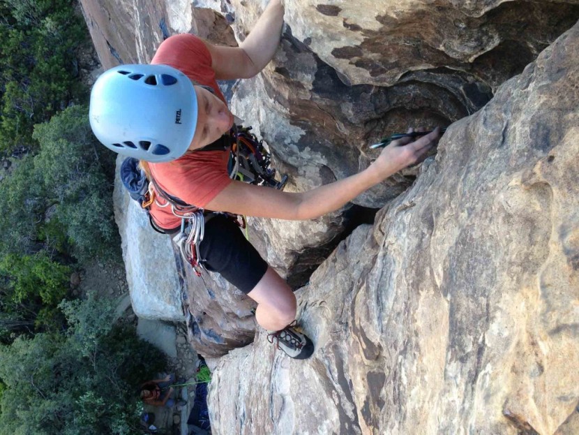 carabiner - we climbed with these carabiners for three months, and compared them...