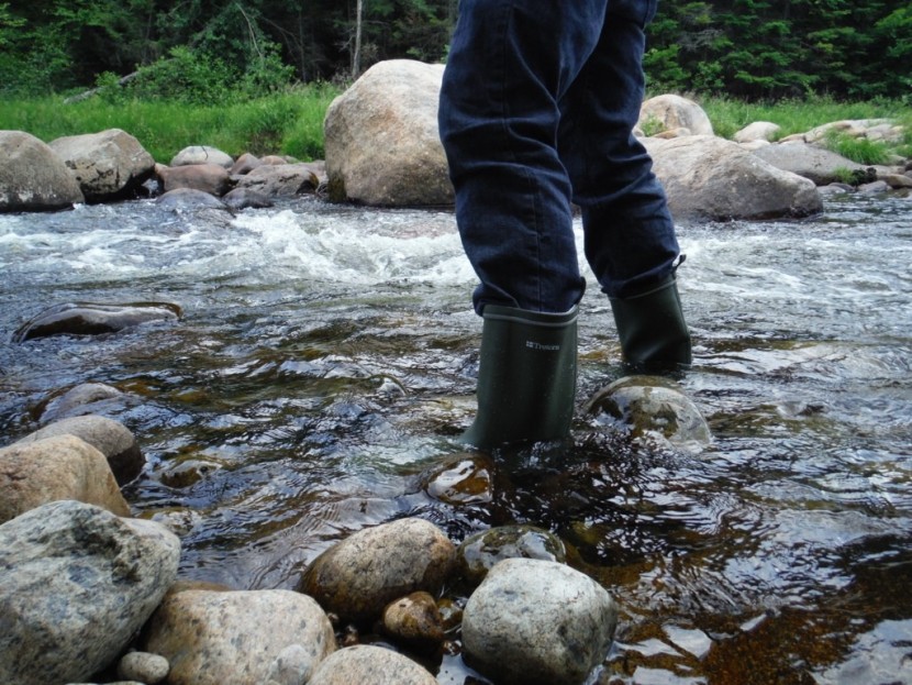 tretorn skerry - the shaft of the skerry measures 11.5 inches, making it one of the...