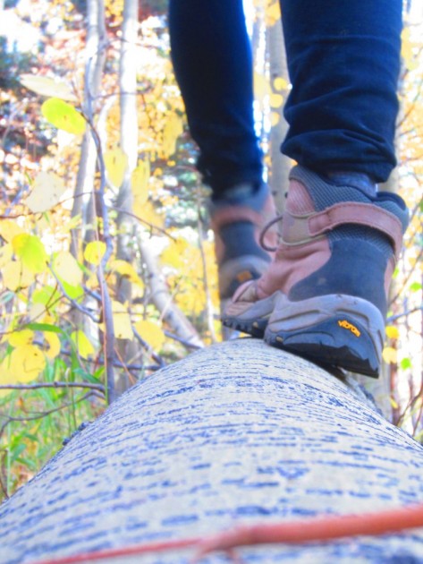 la sportiva fc eco 3.0 gtx for women - a quality hiking boot will offer ankle support, arch support, and...