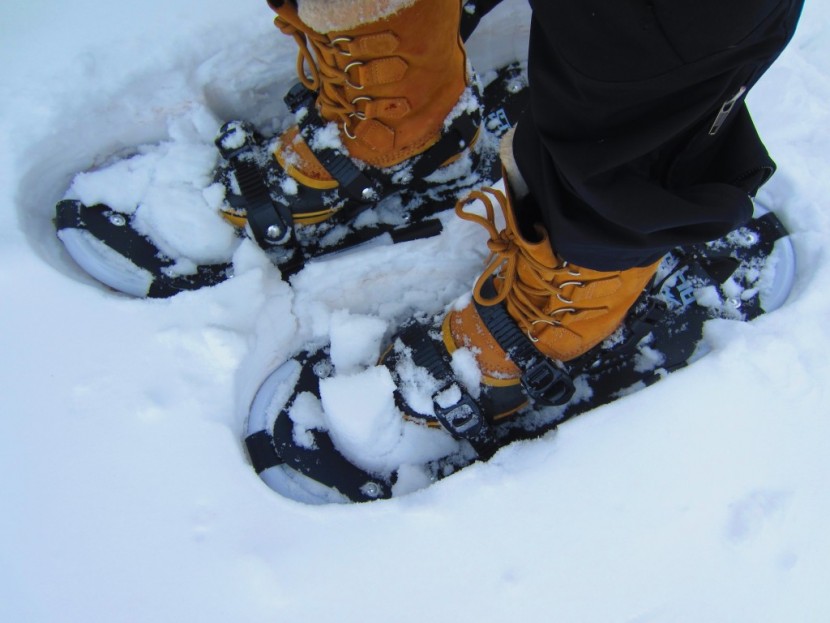 alps performance lightweight - the alps performance lightweight snowshoes are a good entry level...