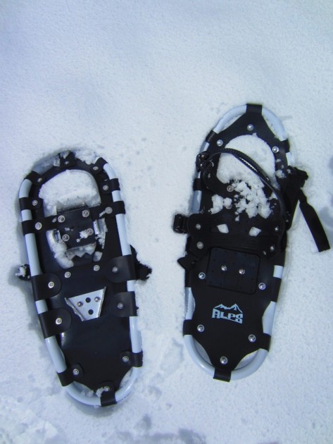 alps performance lightweight - note the synthetic decking material stretched on an aluminum frame...