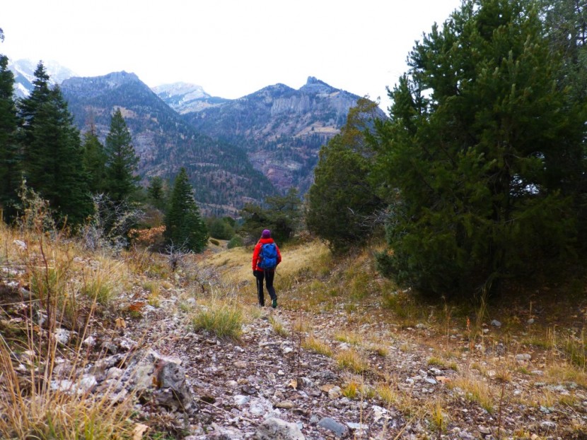 arc'teryx atom ar hoody for women - the atom ar is on the more expensive side, but it's a great addition...