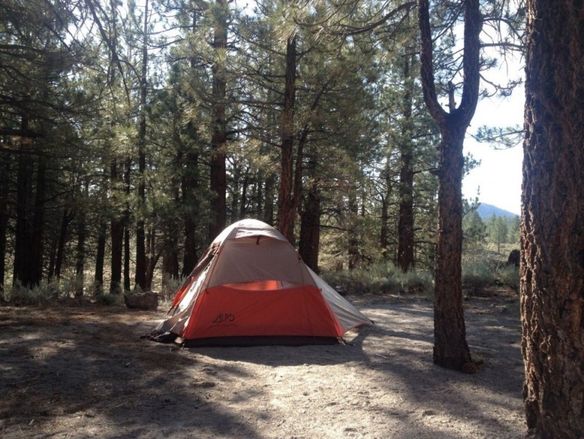 alps mountaineering lynx-2 - the lynx has the tallest peak height of all the tents we tested...