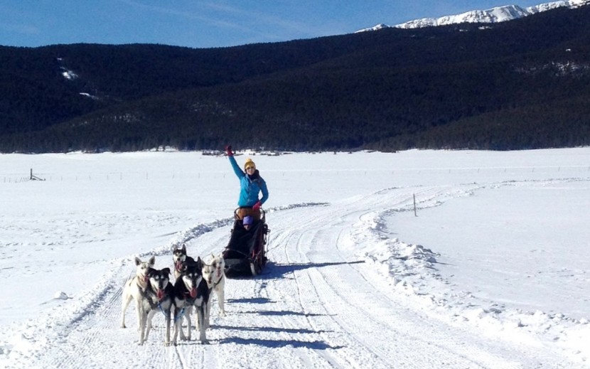 arc'teryx beta ar glove for women - mush mush! these gloves were perfect for this warm day dog sledding...