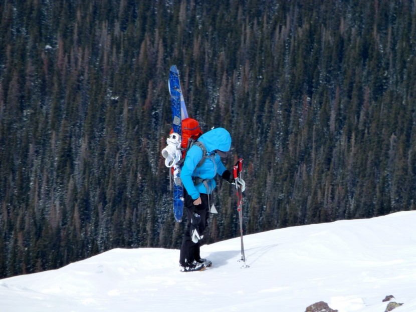 hestra heli three-finger for women - the hestra three finger is versatile with a great fit and incredibly...