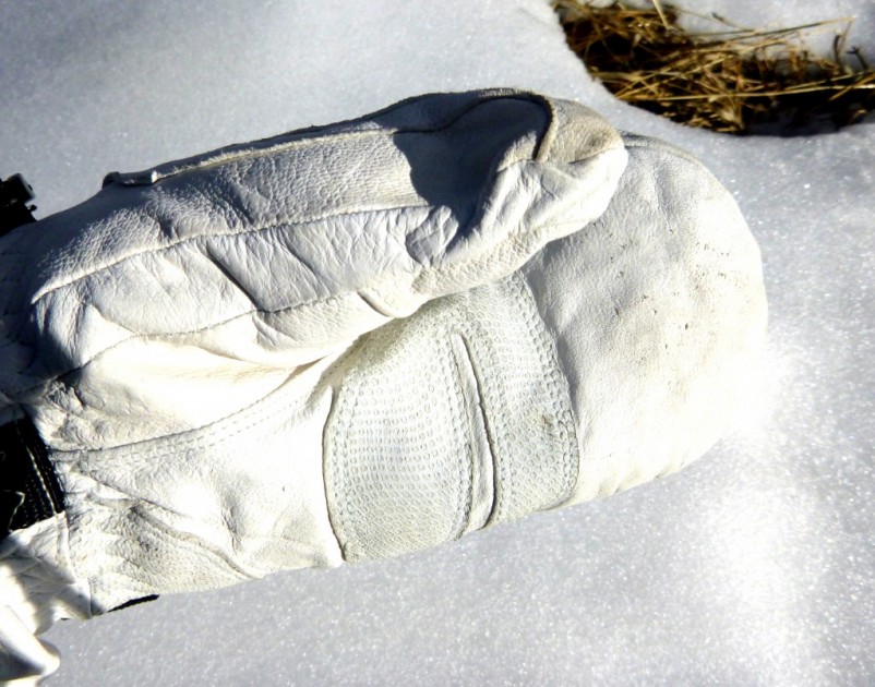 swany x-cell ii mitt for women - the nubuck leather (in comparison to goatskin) is much softer and...