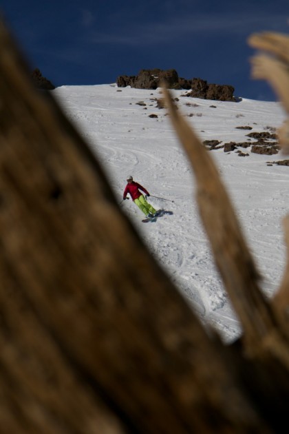 4FRNT Madonna Review | Tested & Rated