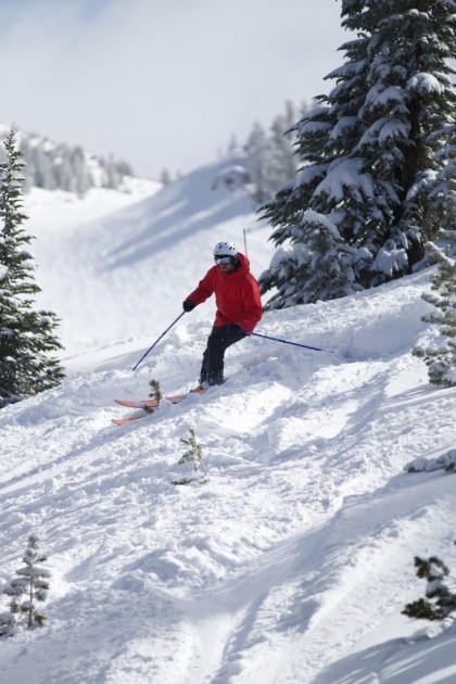 dps wailer 99 hybrid - chance finding enough soft pockets to still bounce around on the...