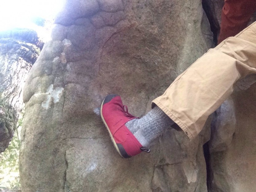 evolv cruzer - this shoe smears better than all but the guide tennie. we recommend...