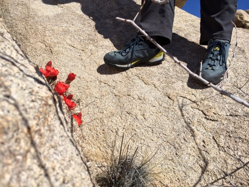 five ten camp four - while this is a durable shoe for getting around joshua tree, we...