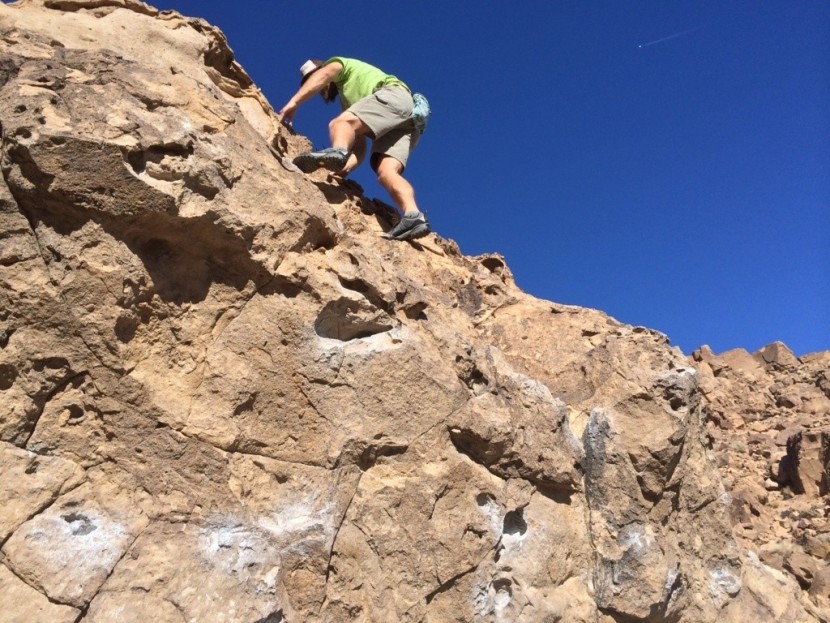 scarpa zen - this shoe, sized for comfortable hiking, can get the job done on...