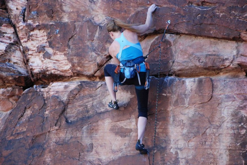black diamond primrose - high stepping was no problem in the last version of this harness.