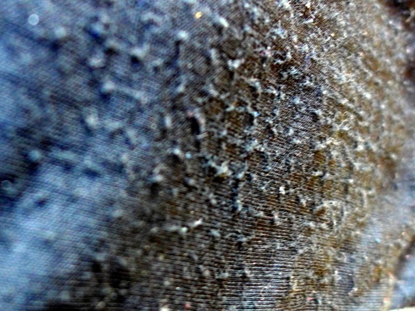 under armour base 2.0 - surface pilling starting on the sleeves of the under armour base 2.0.