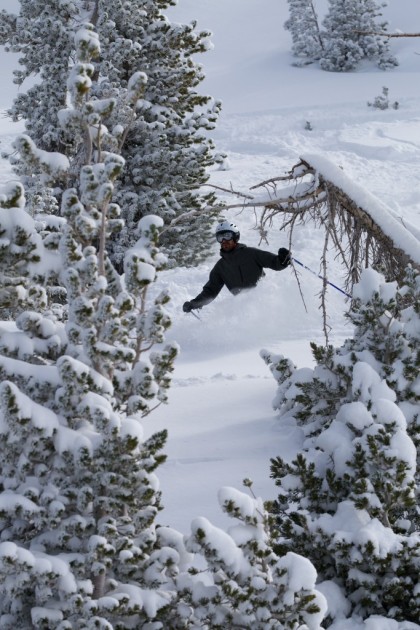 dps wailer 99 hybrid - the dps wailer 99 was the most suitable powder ski in our...